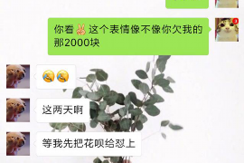 雨湖专业讨债公司，追讨消失的老赖